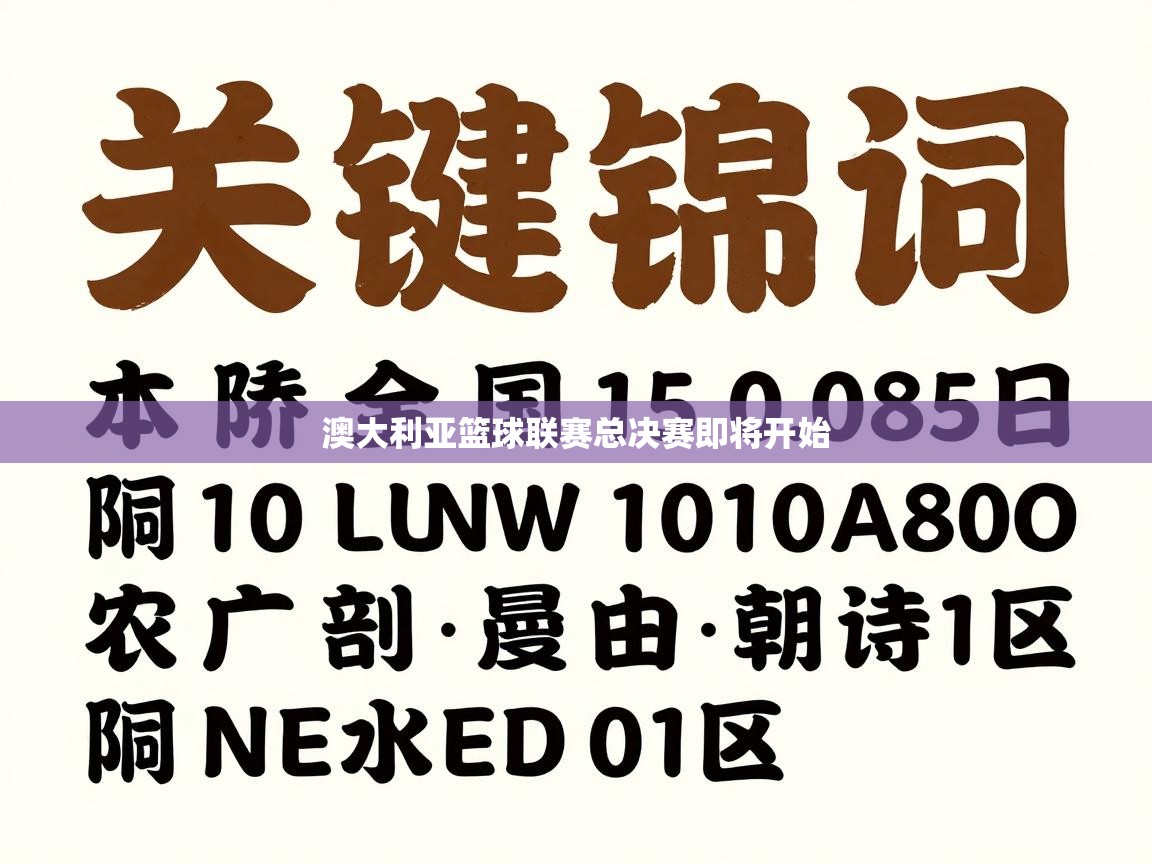 澳大利亚篮球联赛总决赛即将开始  第1张