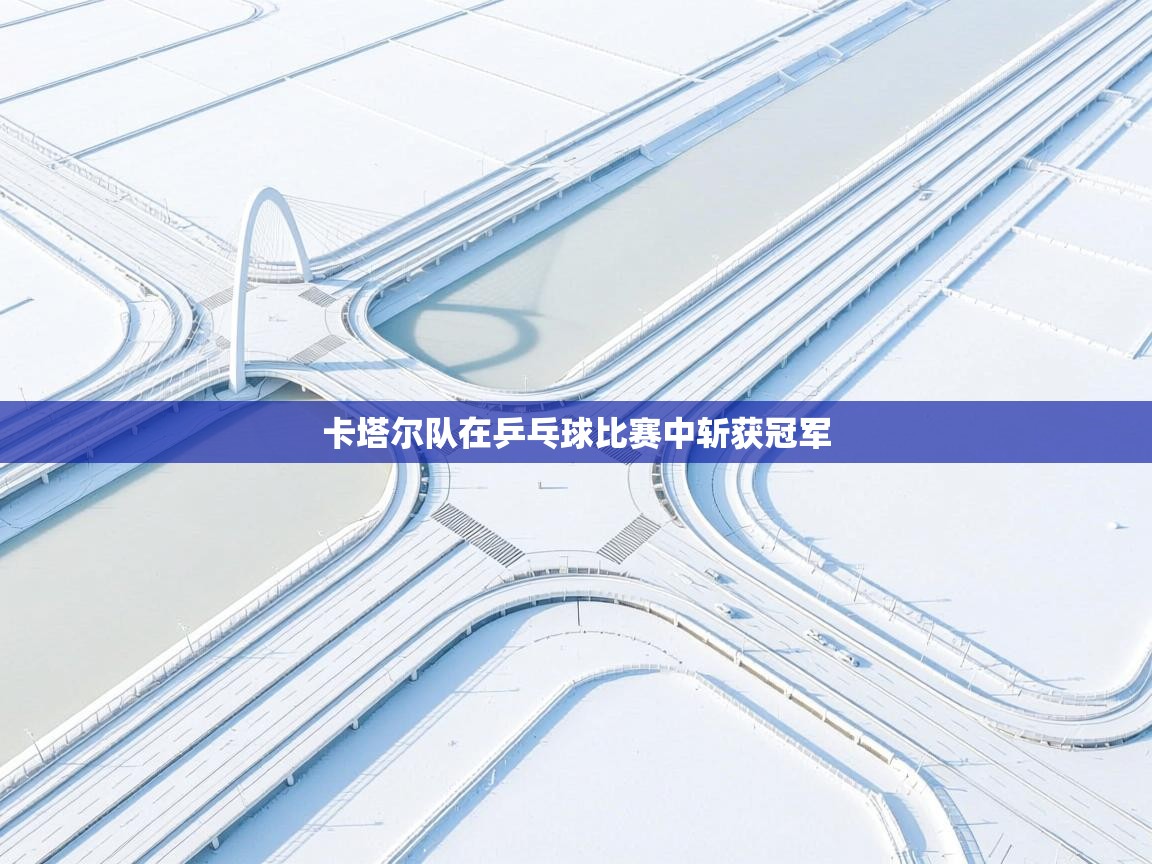 卡塔尔队在乒乓球比赛中斩获冠军  第1张