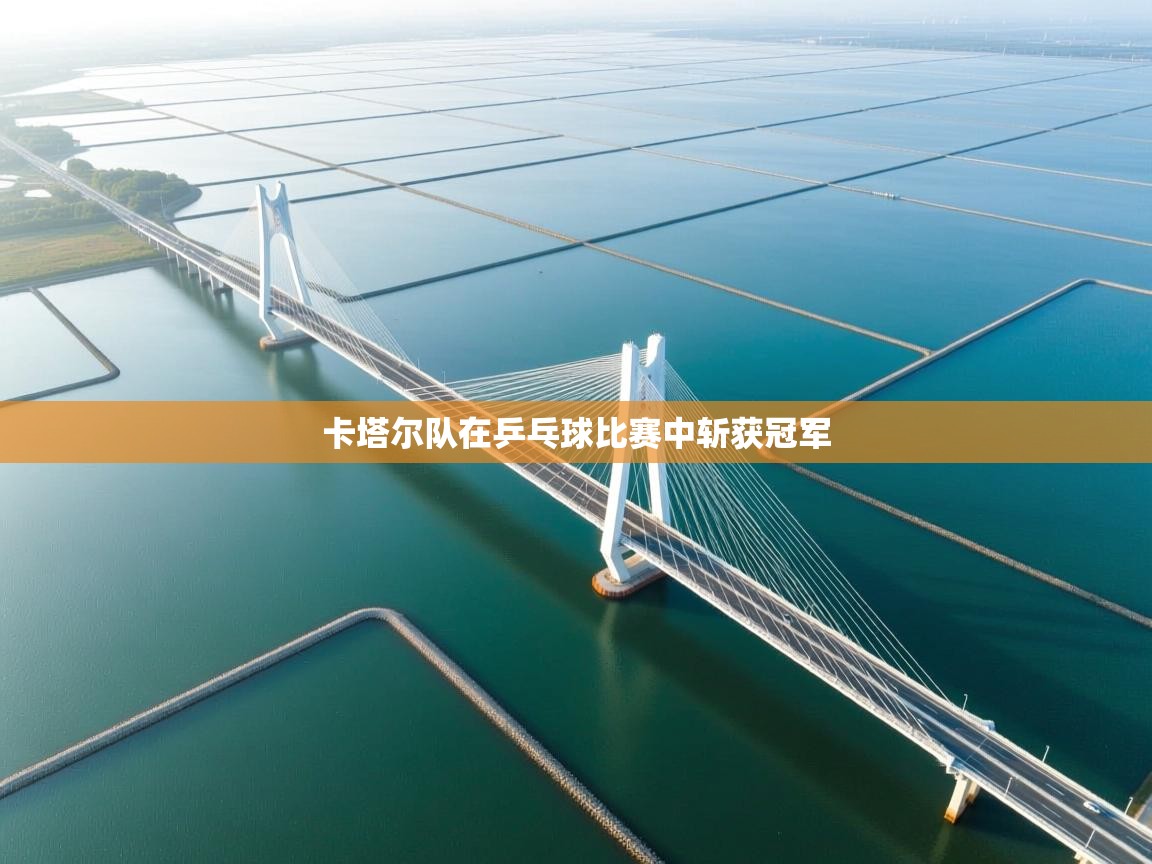 卡塔尔队在乒乓球比赛中斩获冠军  第2张