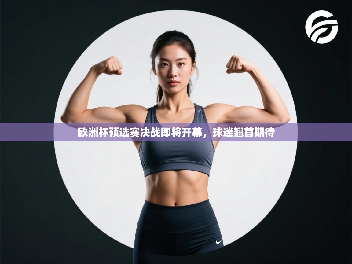 欧洲杯预选赛决战即将开幕，球迷翘首期待  第2张