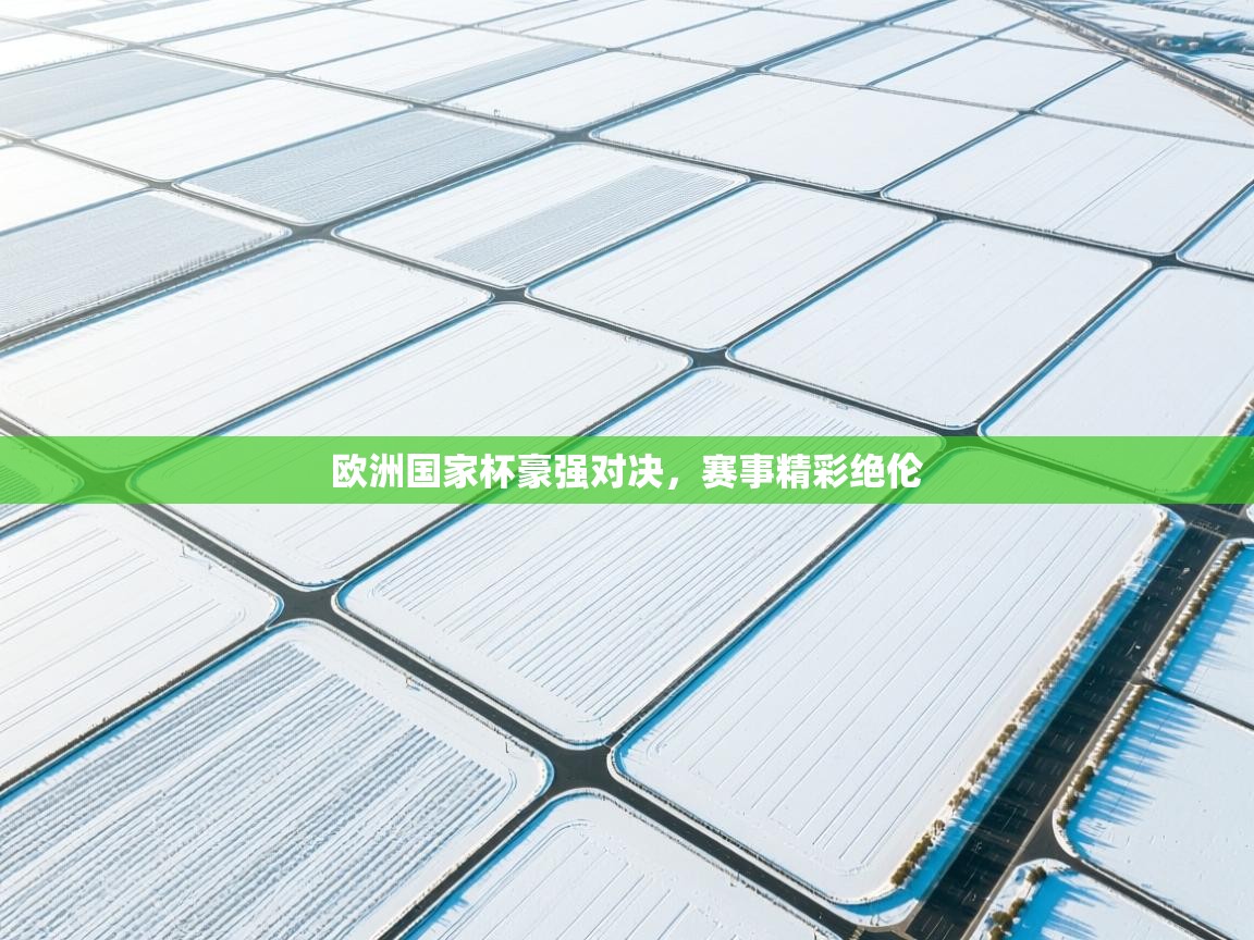 欧洲国家杯豪强对决,赛事精彩绝伦 第1张