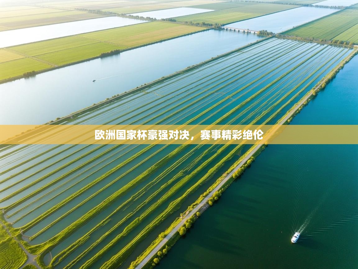 欧洲国家杯豪强对决,赛事精彩绝伦 第2张