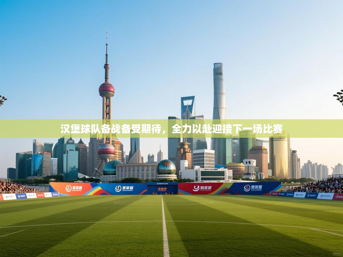 汉堡球队备战备受期待，全力以赴迎接下一场比赛  第1张