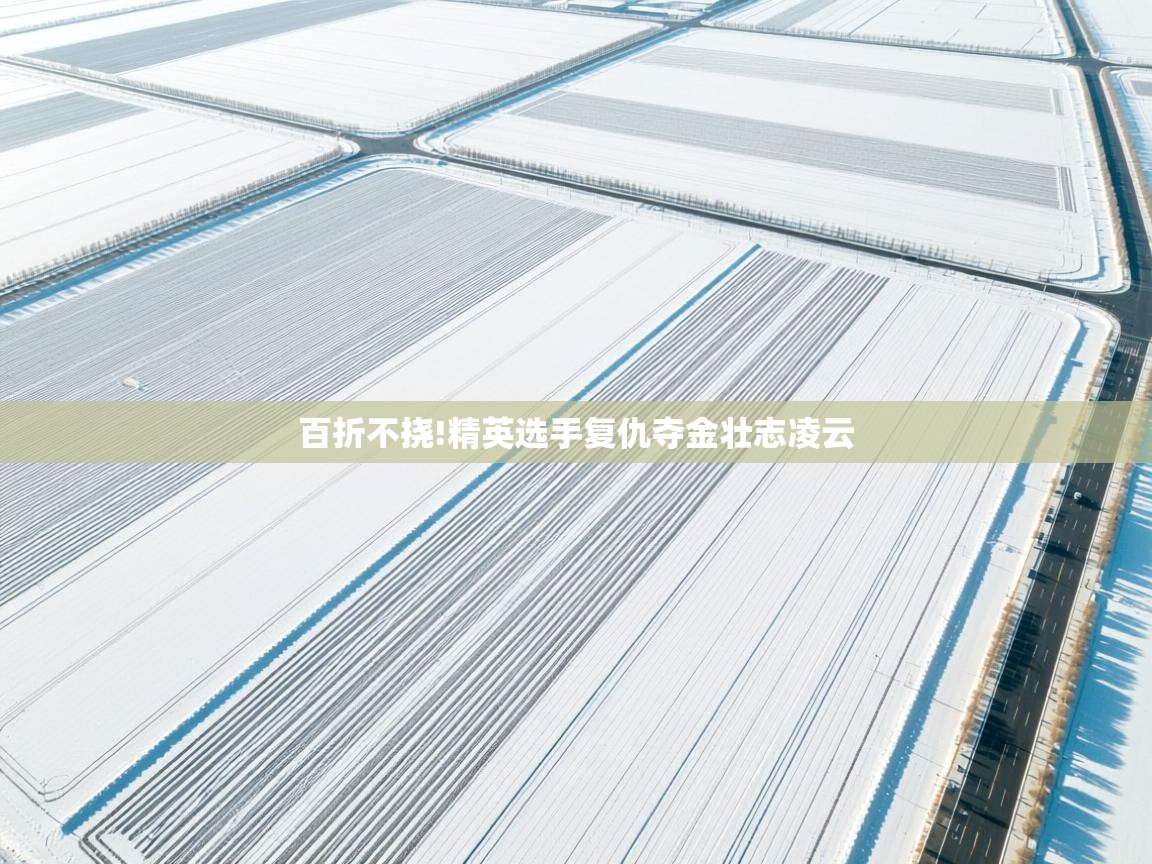 百折不挠!精英选手复仇夺金壮志凌云  第1张