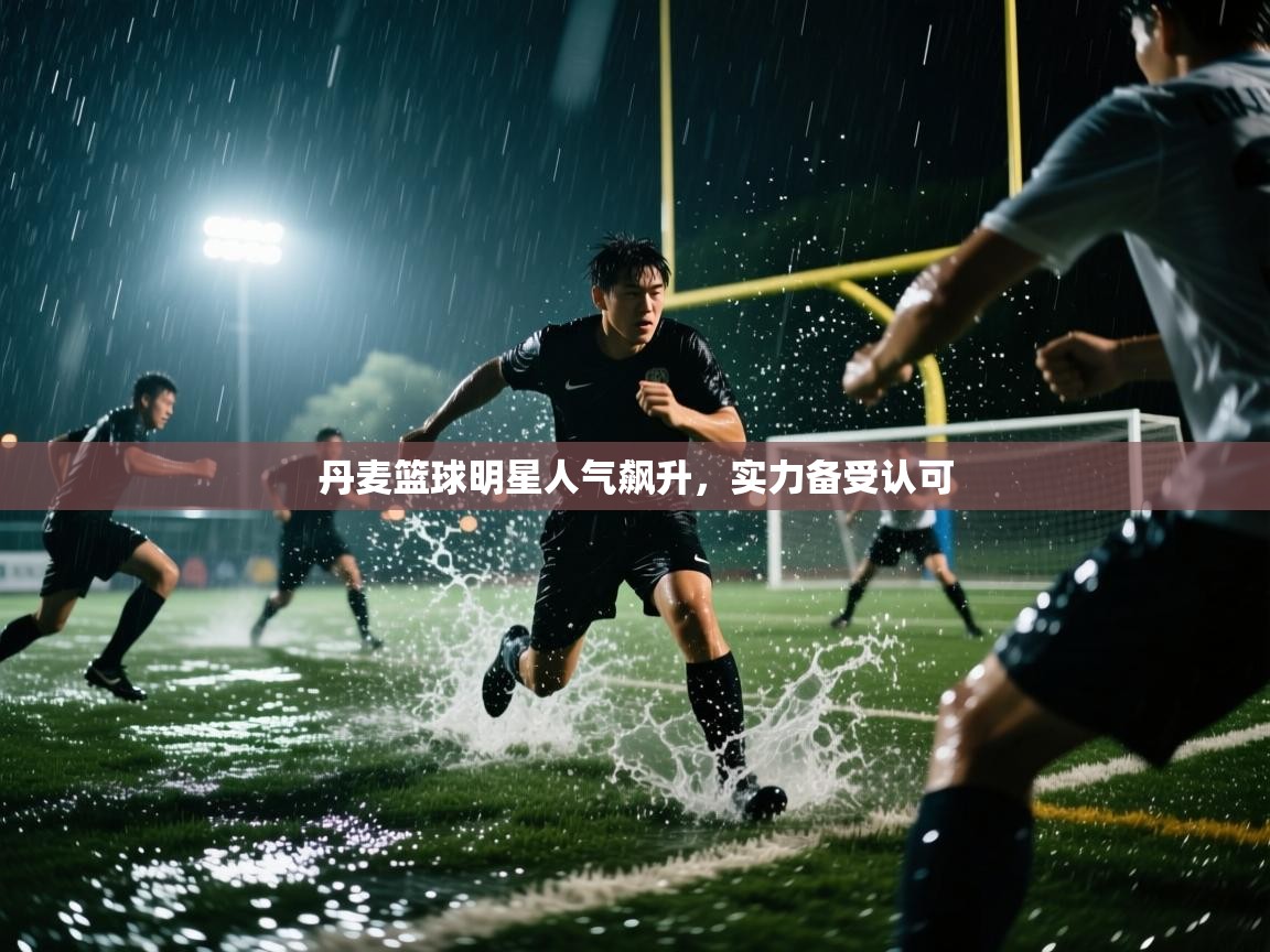 丹麦篮球明星人气飙升,实力备受认可 第1张