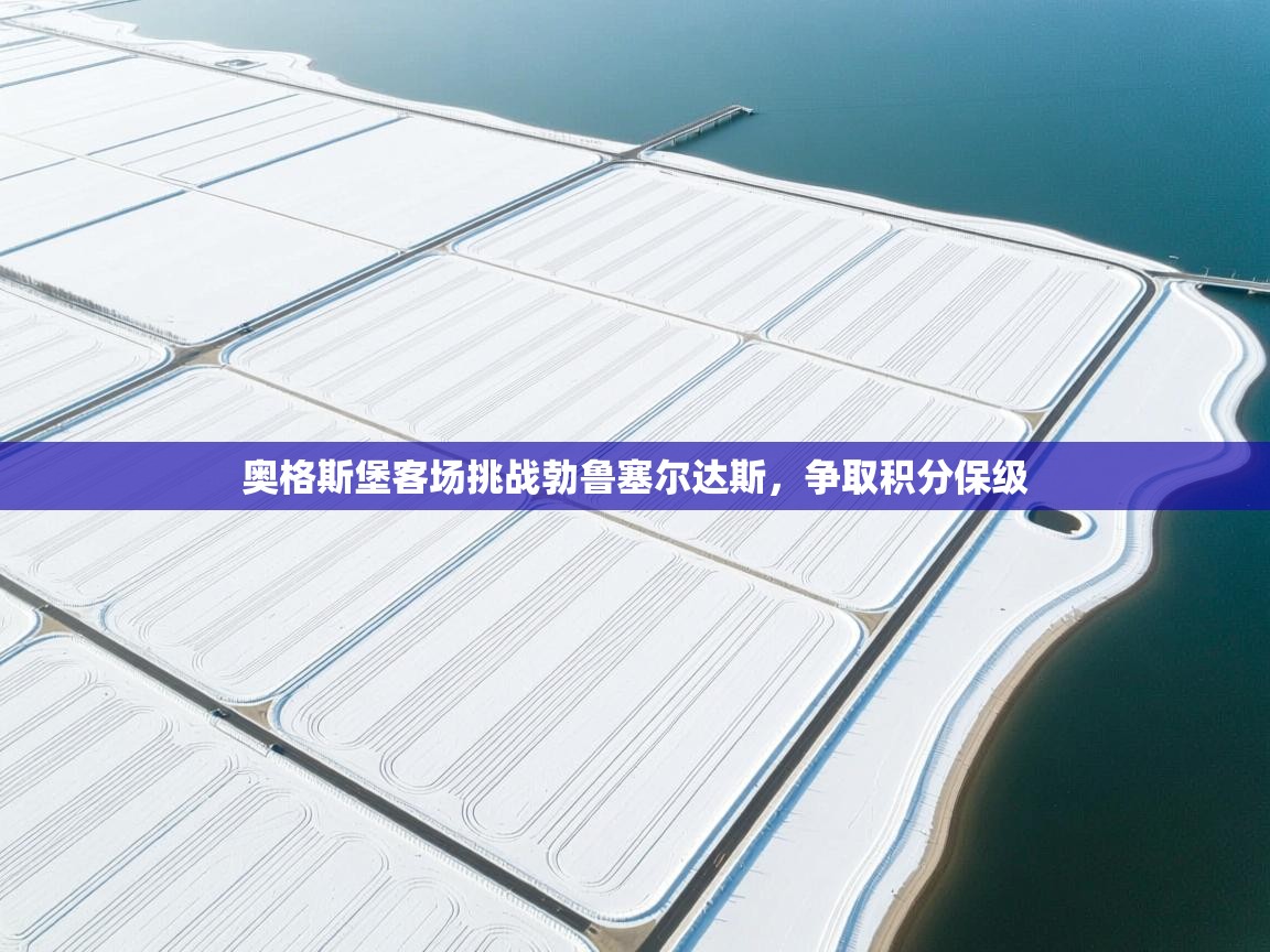 奥格斯堡客场挑战勃鲁塞尔达斯,争取积分保级 第2张